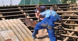 Демонтаж крыши в Алейске - стоимость работ от 741 рублей за м2